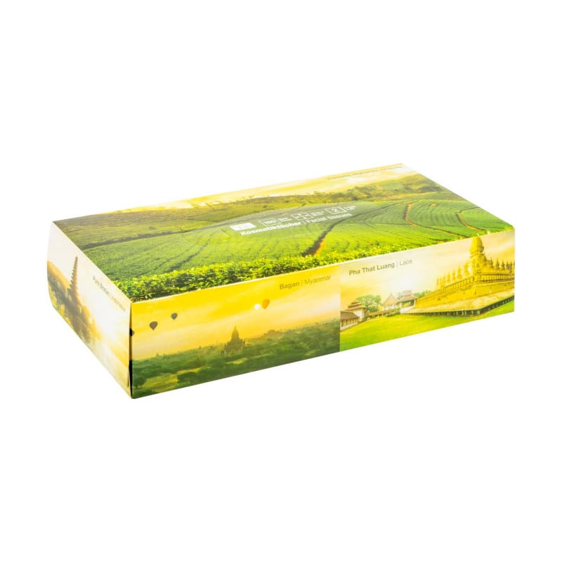 White Facial Tissues || Box of 100