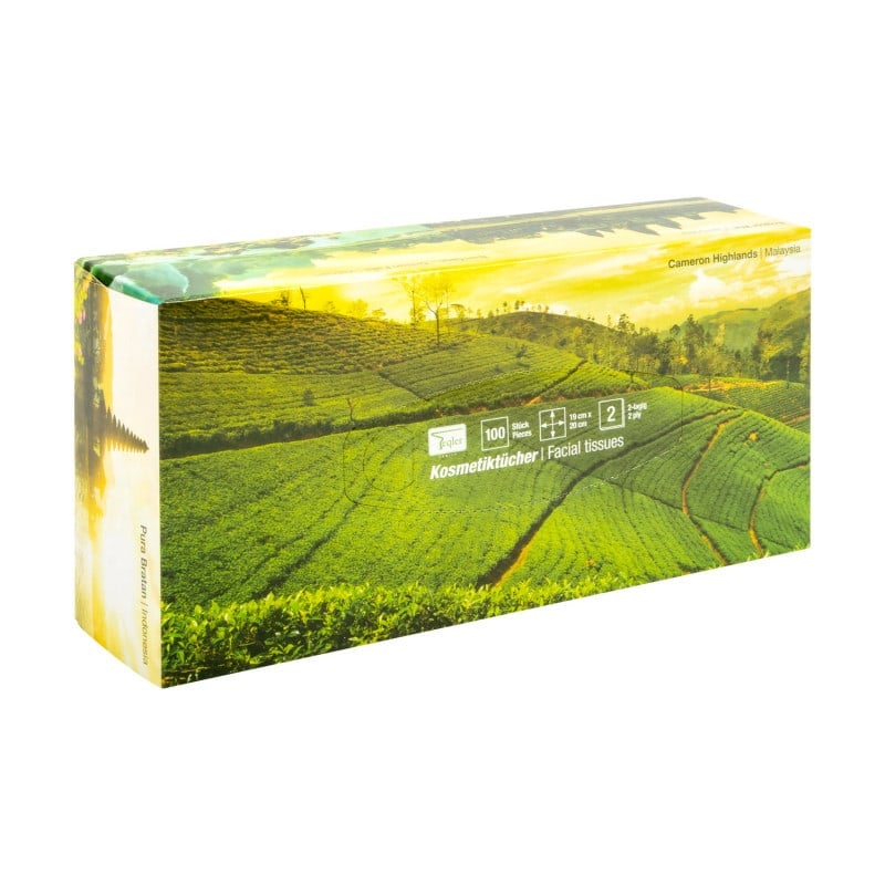 White Facial Tissues || Box of 100