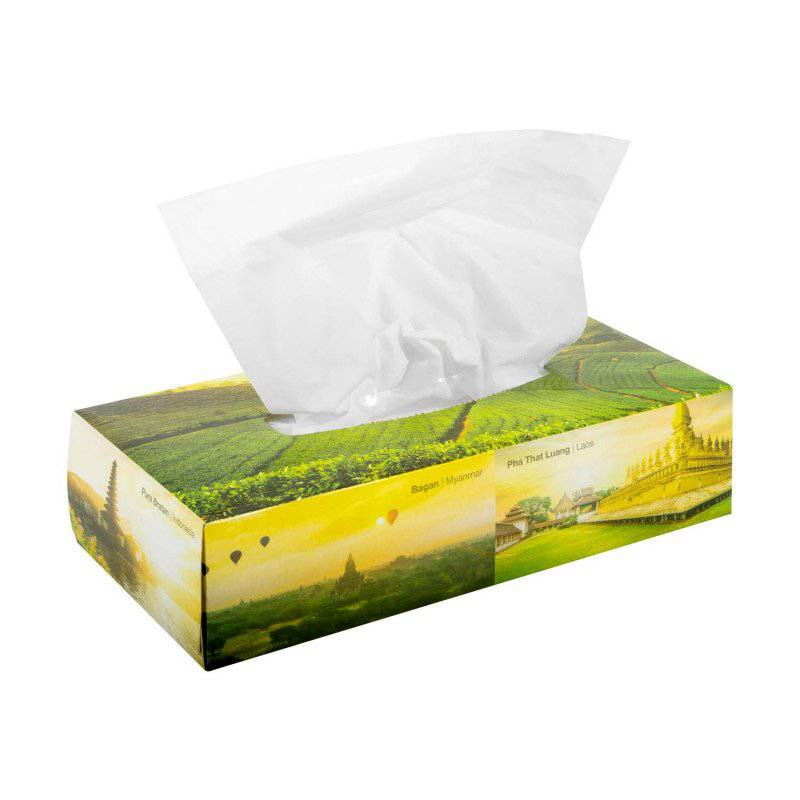 Facial Tissues (box of 100)