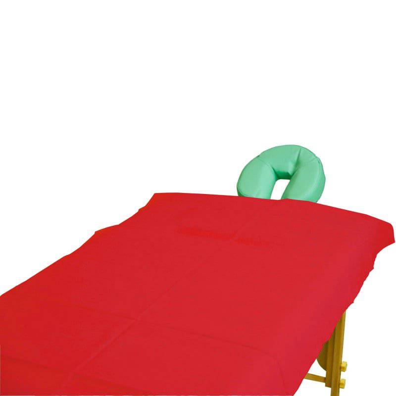 Disposable Sheets for Exam Tables - Red (100)